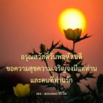 ภาพ No.12250:พระนพดล สิริวํโส