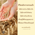 ชีวิตหลังจากตาย: ความหมายและการใช้ชีวิตในปัจจุบัน