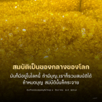 ภาพ No.16287:ทั่วไป