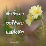  อีการ์ดภาพสวัสดียามเช้าส่งมอบเพื่อเป็นการทักทายให้กำลังใจเพื่อมิตรภาพในเช้าวันใหม่ของทุกๆ วัน