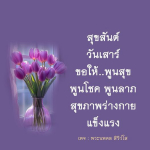 ภาพ No.8663:คำสอนหลวงพ่อธัมมชโย