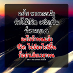 อาหารเสริมชีวิตที่ทำให้เจริญรุ่งเรือง