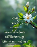 ภาพ No.14740:ภาพสวัสดียามเช้า