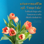 แก่นสารของชีวิต: การค้นพบใจที่นิ่งและภายใน