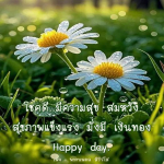 ภาพ No.10564:ทั่วไป