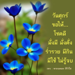 ภาพ No.14628:ทั่วไป