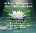 การมีสติและการปัดกิเลส: วิธีสร้างจิตบริสุทธิ์