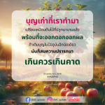 บุญเก่าที่เราทำมา: ปลูกต้นไม้แห่งความดี
