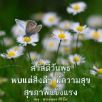 ภาพ No.8090:ภาพสวัสดียามเช้า