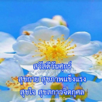 ภาพ No.8487:ภาพสวัสดียามเช้า