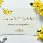 ภาพ No.16163:ทั่วไป