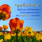 ค้นพบสุขที่แท้จริง: หยุดกับปิ้งเพื่อความสงบ