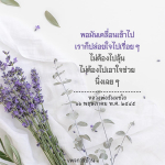 การปล่อยใจในสติ: คำสอนจากหลวงพ่อธัมมชโย
