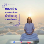 ภาพ No.16416:ทั่วไป