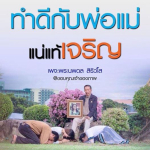 การ์ด No.8184:พระนพดล สิริวํโส