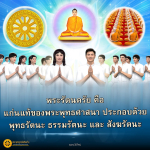 ภาพ No.16445:ทั่วไป