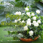 ภาพ No.14459:ภาพสวัสดียามเช้า