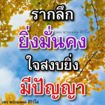ภาพ No.15568:ทั่วไป
