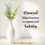 ภาพ No.15671:ทั่วไป