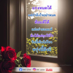 ภาพ No.16254:กำลังใจให้คุณ