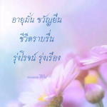 ภาพ No.9248:กฐินธรรมชัย