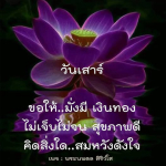  อีการ์ดภาพสวัสดียามเช้าส่งมอบเพื่อเป็นการทักทายให้กำลังใจเพื่อมิตรภาพในเช้าวันใหม่ของทุกๆ วัน