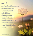 ความงามของดอกไม้และการอดทนในชีวิต