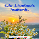 ภาพ No.15408:ทั่วไป