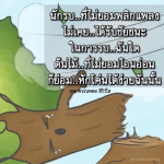 พระนพดล สิริวํโส: นักรบที่ไม่ยอมพลิกแพลง
