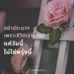 ภาพ No.15591:ทั่วไป