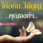 ภาพ No.14822:พระนพดล สิริวํโส
