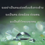 ภาพ No.9957:พระนพดล สิริวํโส