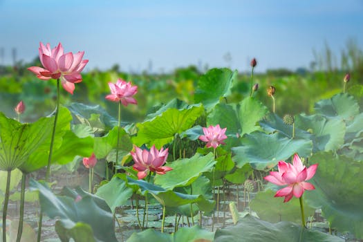 แรงอธิษฐานกรรมบันดาล