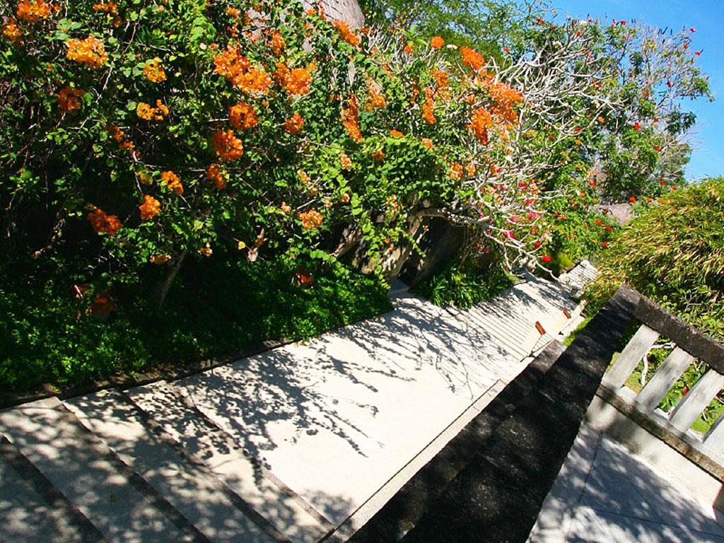 ภาพพื้นหลัง No.1118:ภาพธรรมชาติ