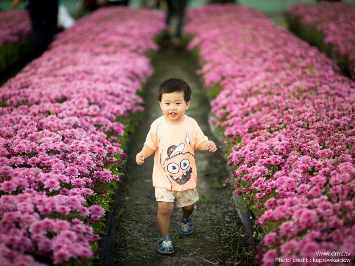 ภาพพื้นหลัง No.11738:รูปภาพเด็กน่ารัก