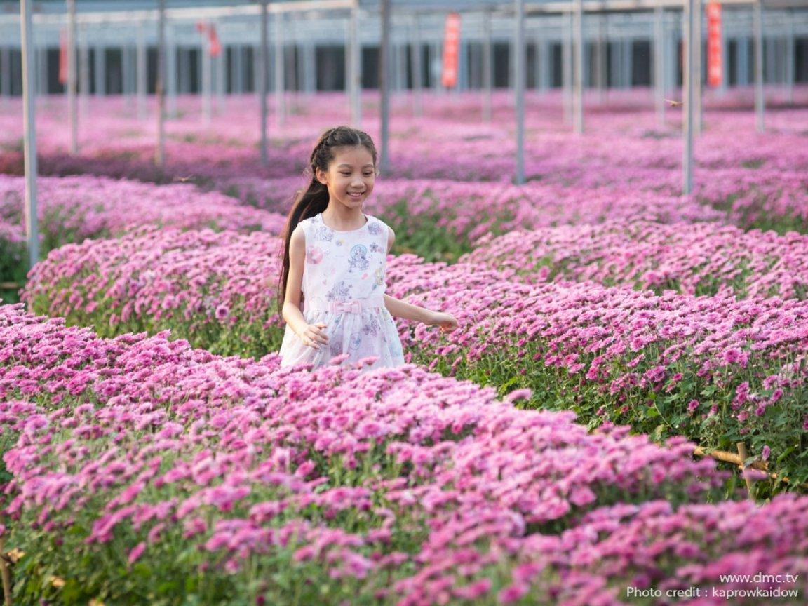 ภาพพื้นหลัง No.11747:รูปภาพเด็กน่ารัก