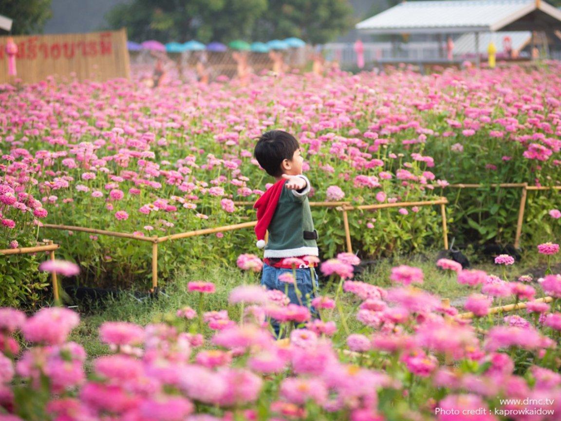 ภาพพื้นหลัง No.11748:รูปภาพเด็กน่ารัก