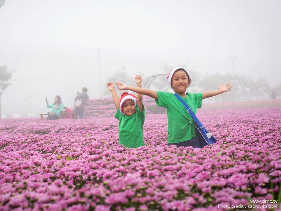 ภาพพื้นหลัง No.11749:รูปภาพเด็กน่ารัก
