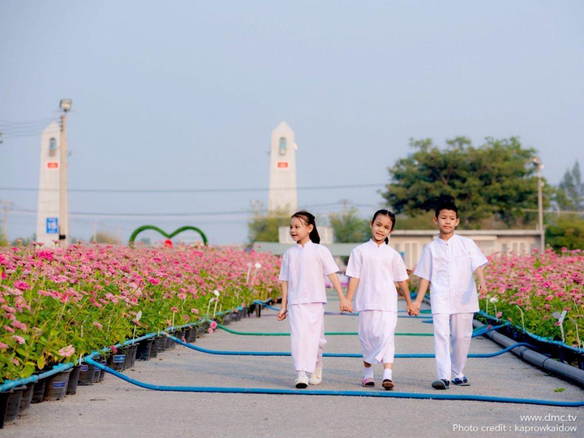 ภาพพื้นหลัง No.11753:รูปภาพเด็กน่ารัก