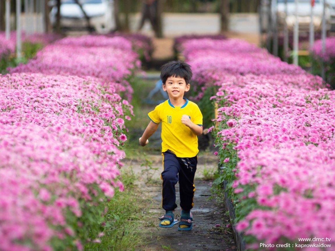 ภาพพื้นหลัง No.11756:รูปภาพเด็กน่ารัก