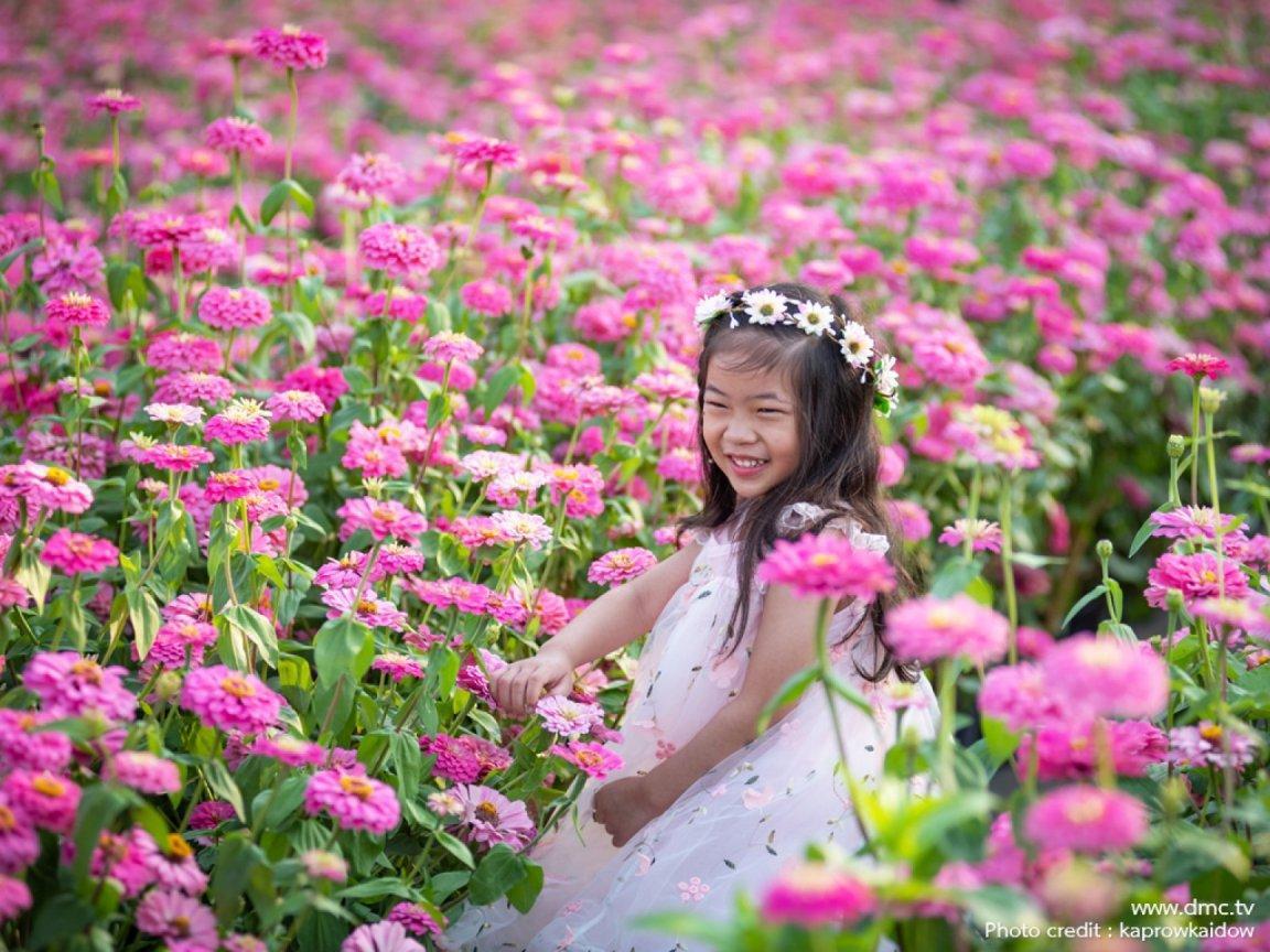 สาวน้อยน่ารักในทุ่งดอกไม้สีชมพู : รูปภาพเด็กน่ารัก