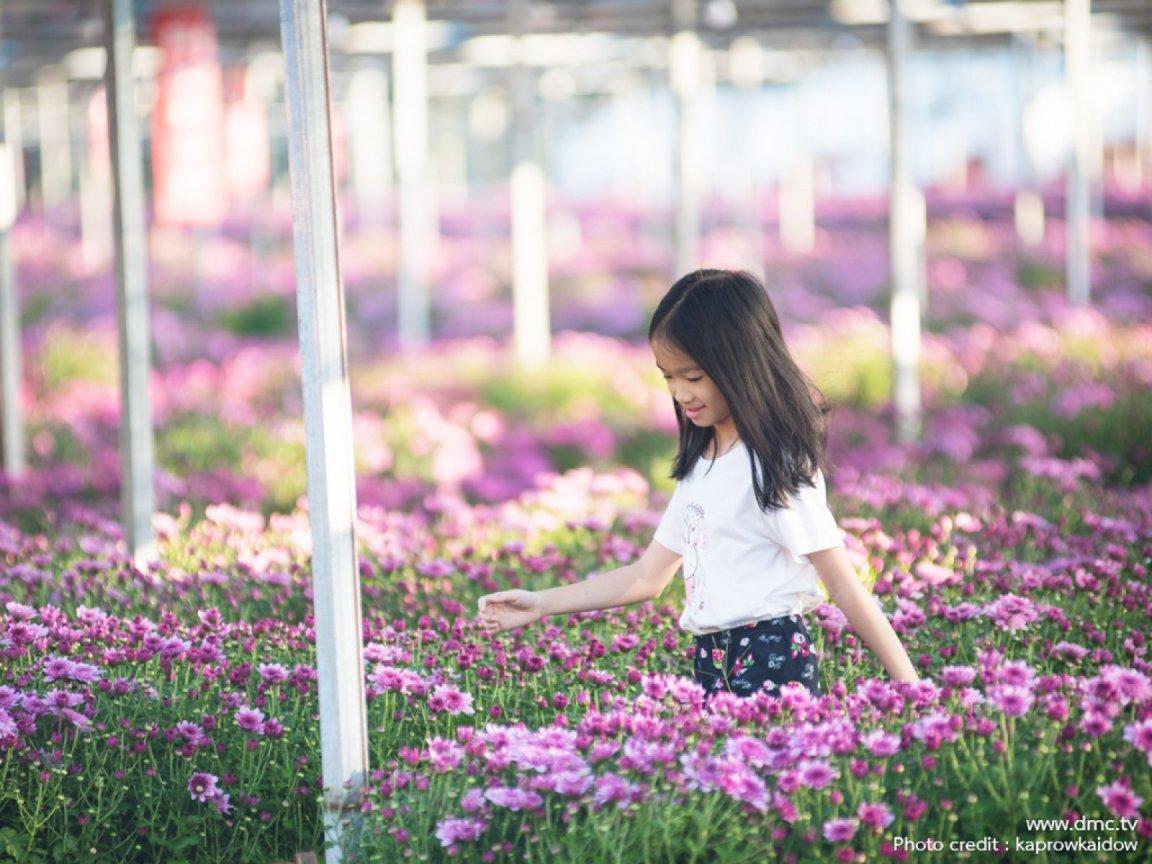 ภาพพื้นหลัง No.11770:รูปภาพเด็กน่ารัก