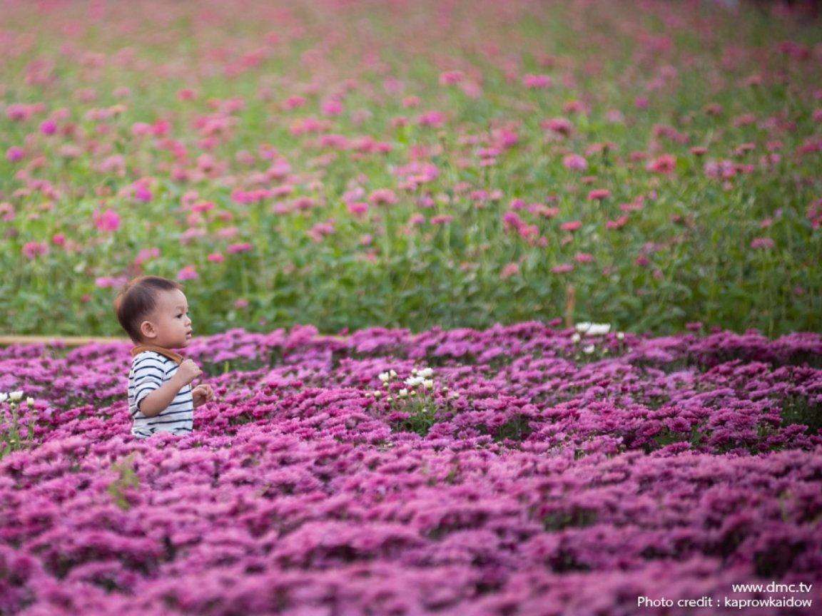 ภาพพื้นหลัง No.11778:รูปภาพเด็กน่ารัก
