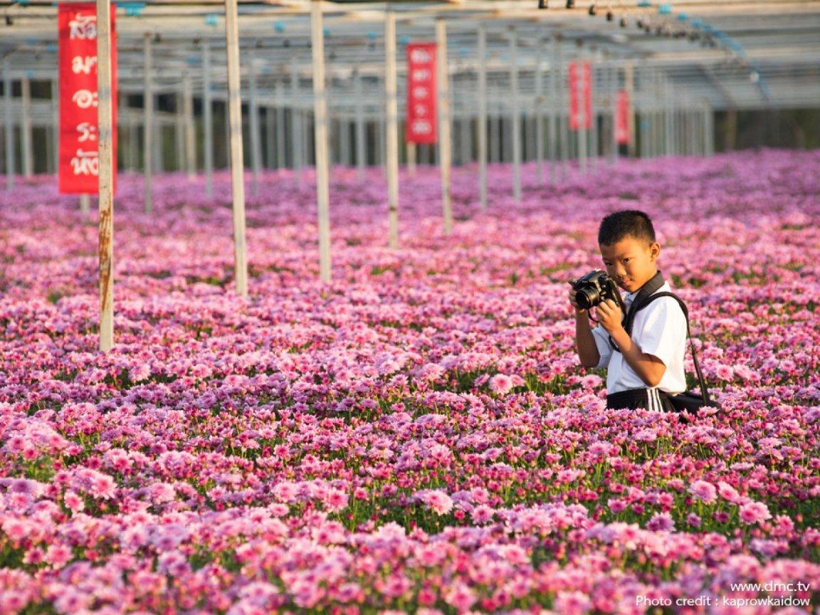 ภาพพื้นหลัง No.11792:รูปภาพเด็กน่ารัก