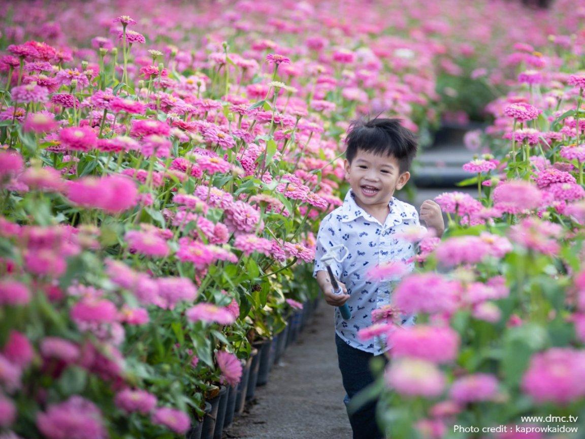 ภาพพื้นหลัง No.11793:รูปภาพเด็กน่ารัก