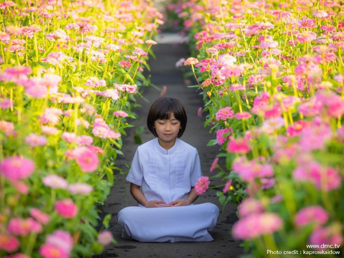 ภาพพื้นหลัง No.11801:รูปภาพเด็กน่ารัก