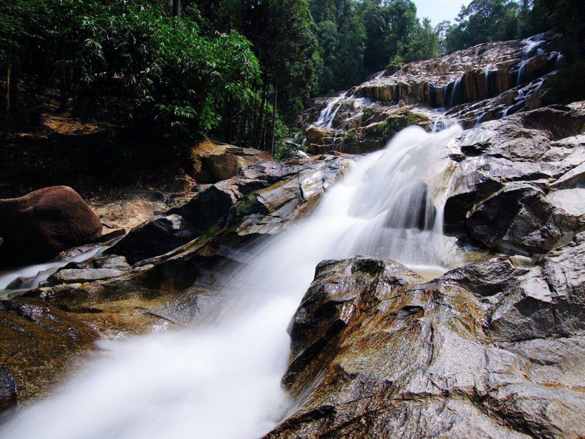 ภาพพื้นหลัง No.12467:ภาพธรรมชาติ