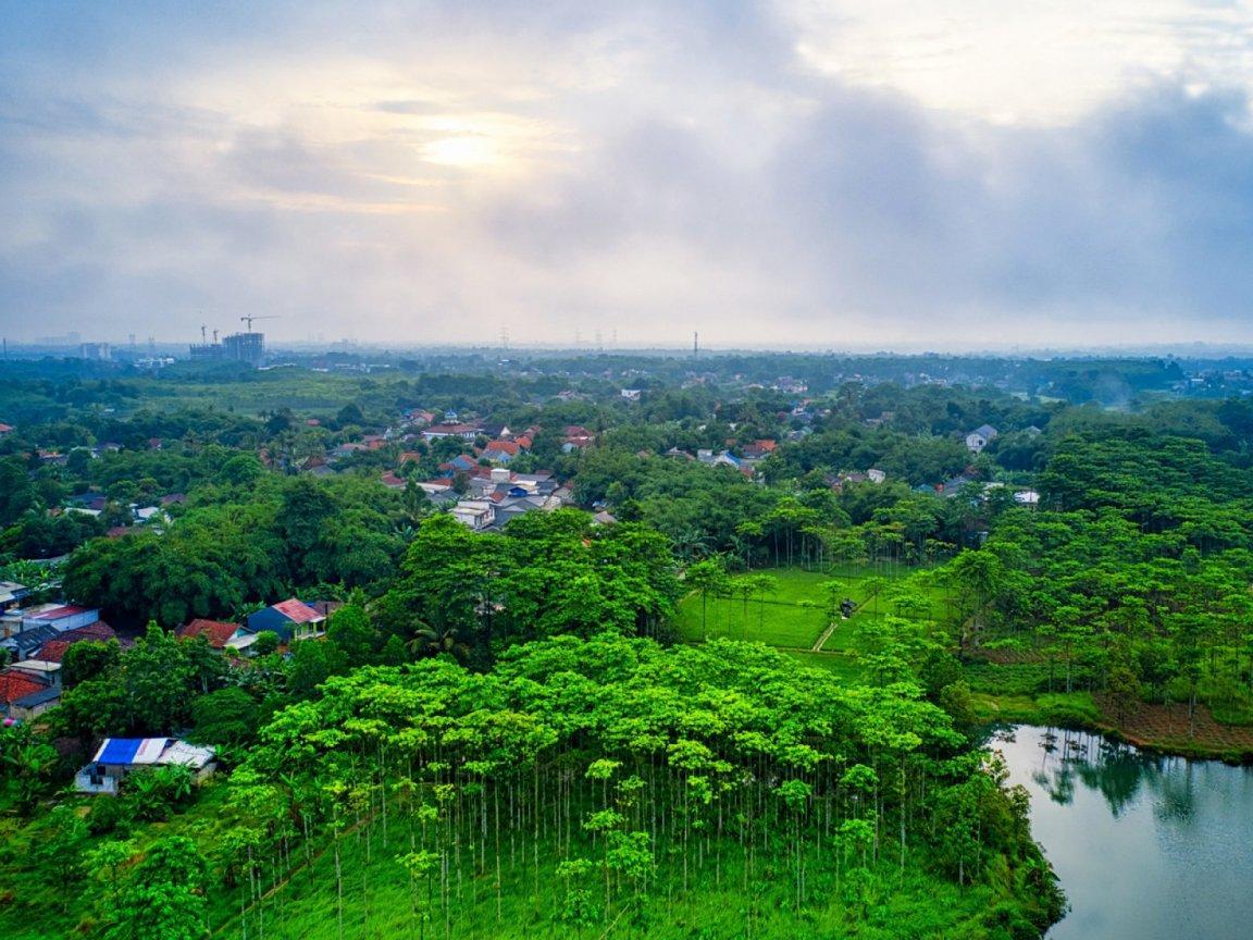 ภาพพื้นหลัง No.12919:ภาพธรรมชาติ