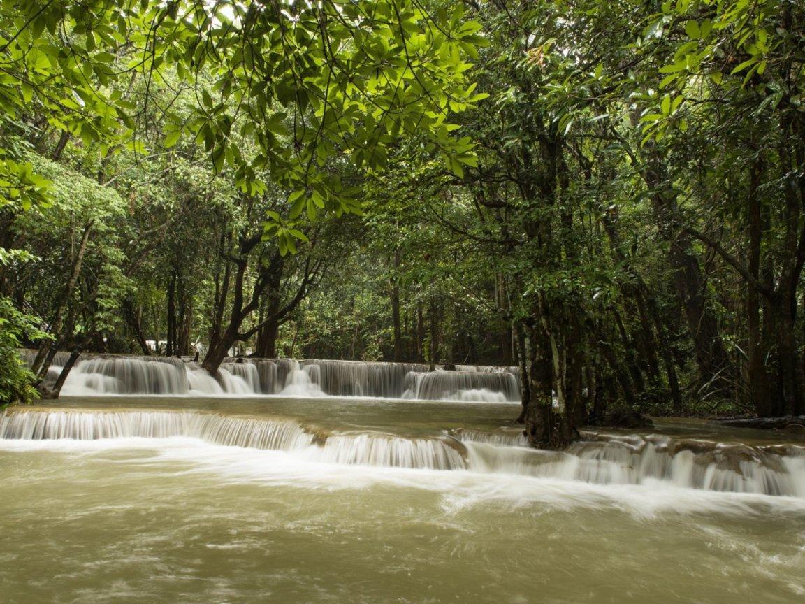 ภาพพื้นหลัง No.13139:ภาพธรรมชาติ