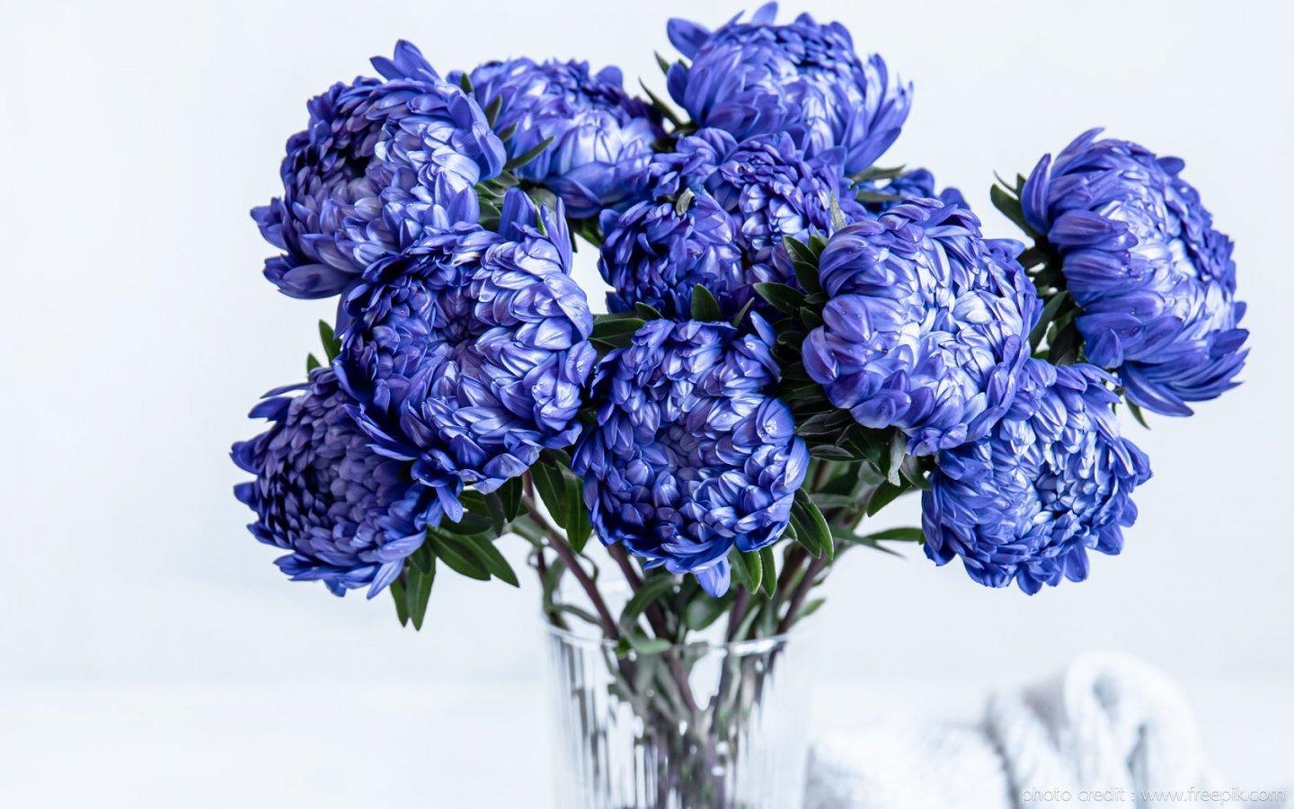 ภาพพื้นหลัง No.13758:รูปภาพดอกไม้สวยๆ